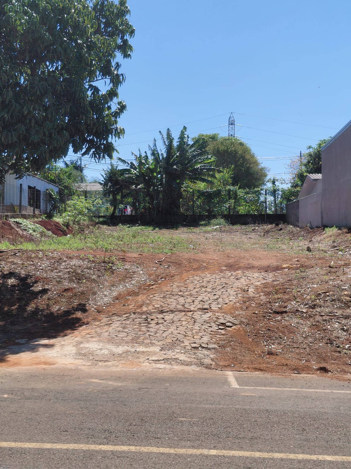 Lote - Foto 3